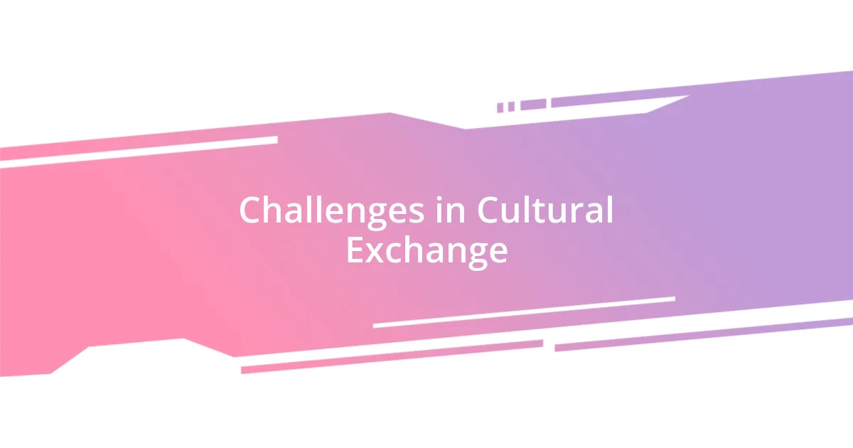 Challenges in Cultural Exchange